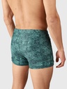 Samier-Print Men Swim Trunks -Brunotti Mediterranea M