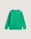 BY BLOCKED BOX CREW - Sweat kids - VANS Vivid Verdant M/12ans