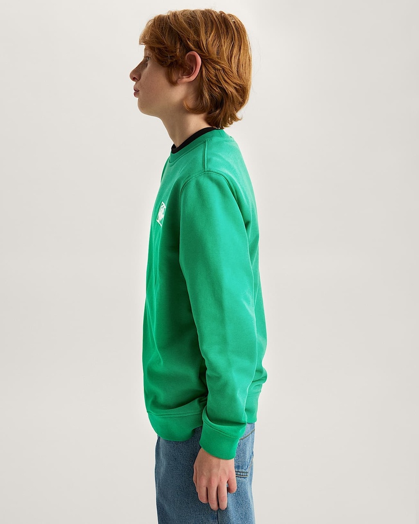 BY BLOCKED BOX CREW - Sweat kids - VANS Vivid Verdant M/12ans