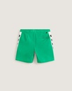 Daily Sideline MO Board 18' - VANS Vivid Verdant 31
