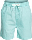 TAXERWSYTH - Short - QUIKSILVER  10ans