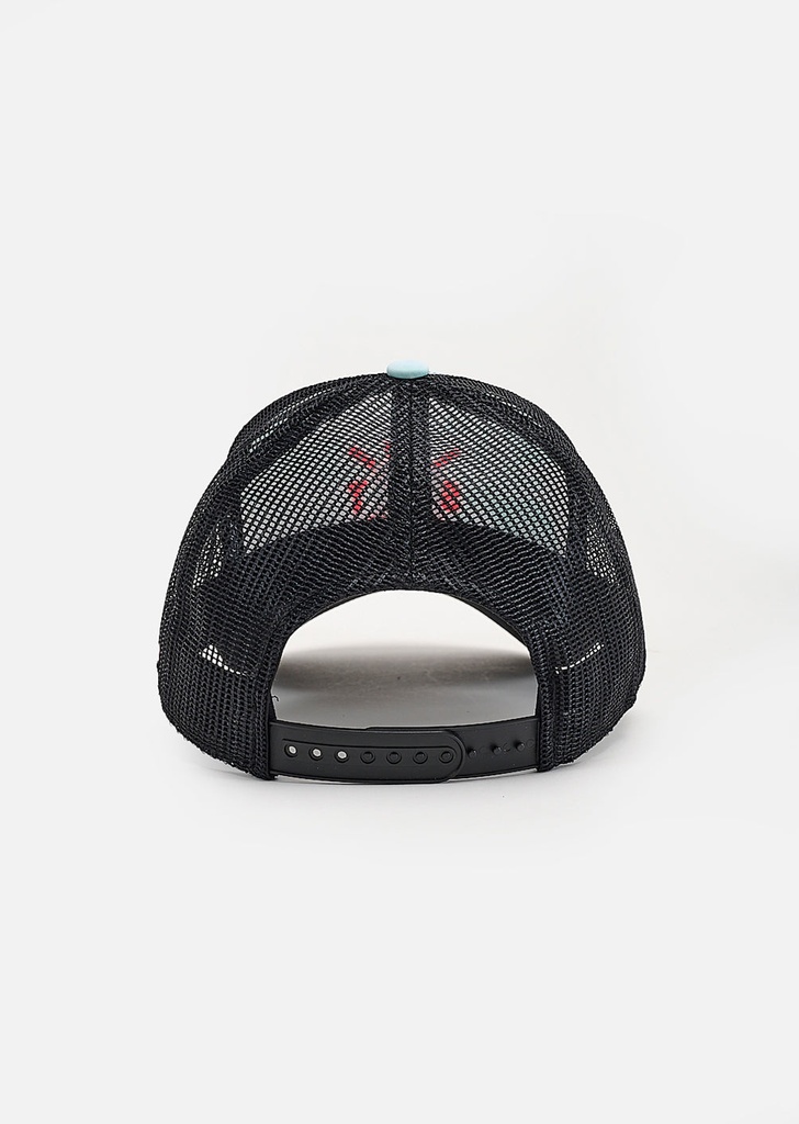 TRIBE WW507 - Casquette - WATTS  Acid wash water  mint