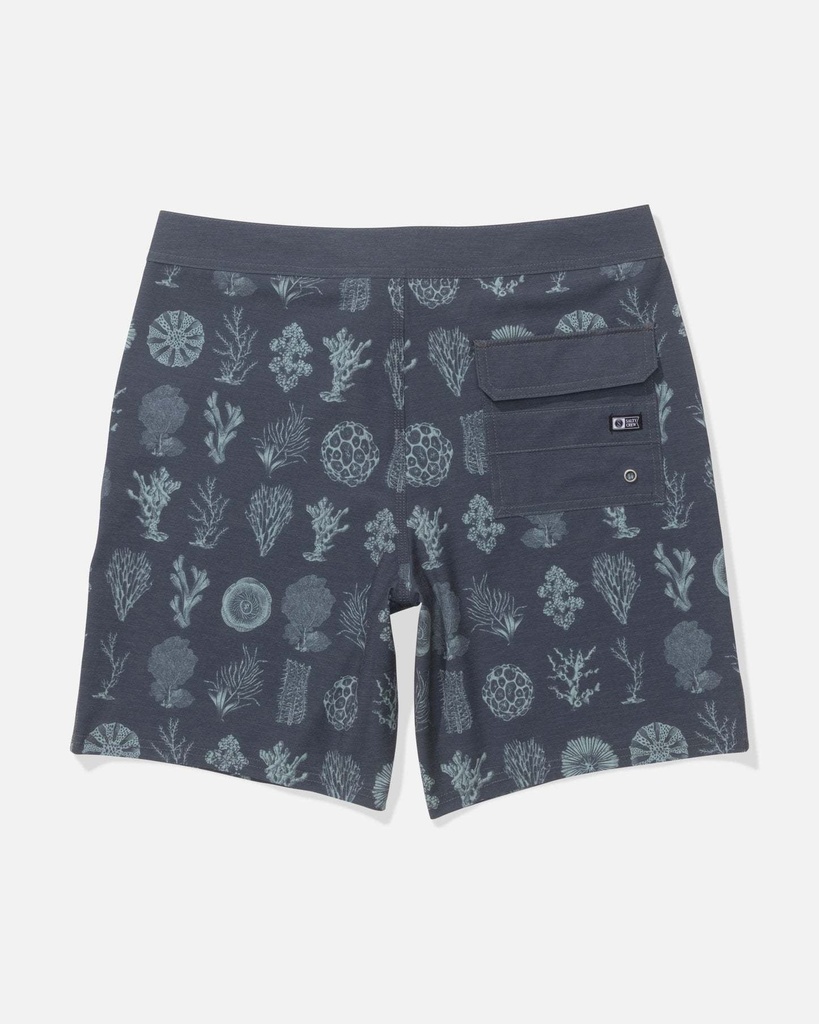 CREW BOARDSHORT - SALTY CREW  MAGNET 32