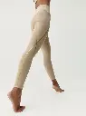 GOLD STICK -4.webp