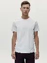 MELVILLE-C-WHITE_CHALK1.webp