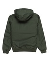 DULCEY  Veste - ELEMENT Green XS