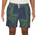 CRAZY FRESH - Short - IRIEDAILY marine XL